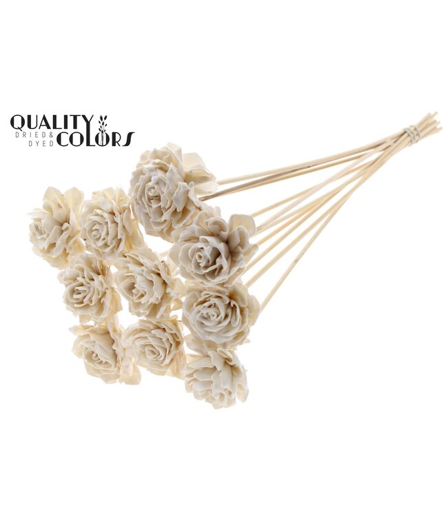 Shola Dhaliya 6cm on stem Wax White ( x 50 )