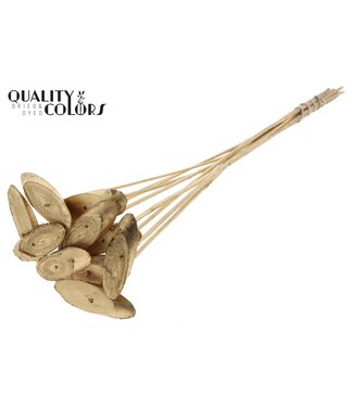 QC Wood oval Slice on stem Antique Gold | Per 50 stuks