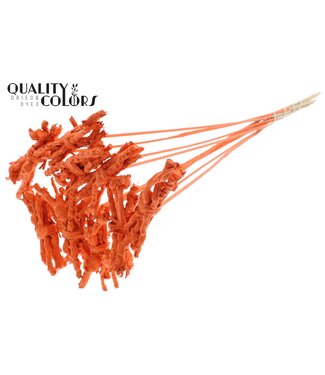 QC Coco Rose Posy on stem Covered Orange | Per 50 stuks