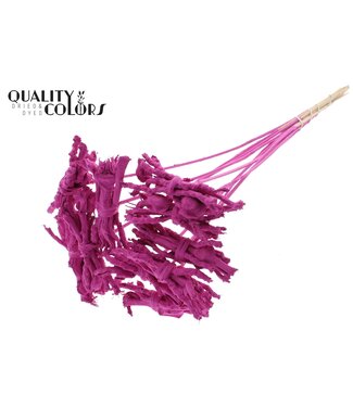 QC Coco Rose Posy on stem Covered Cerise | Per 50 stuks