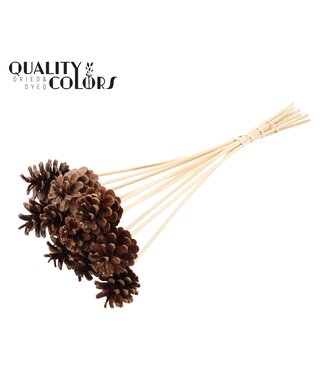 QC Pine cone 5-7cm on stem Natural ( x 150 )