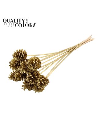 QC Pine cone 5-7cm on stem Gold + Glitter ( x 150 )
