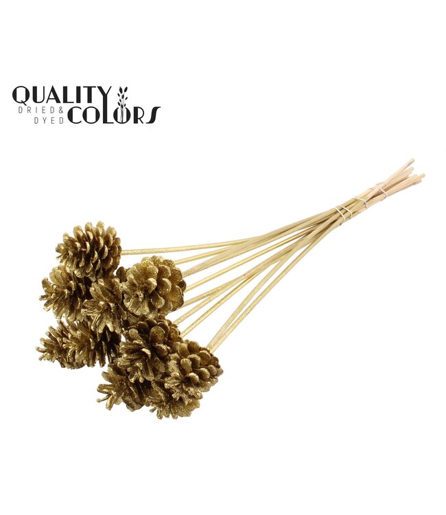 Pine cone 5-7cm on stem Gold + Glitter ( x 150 )