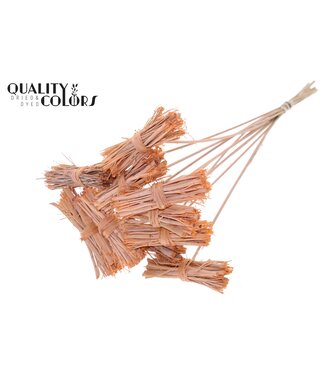 QC White Lady posy on stem Frosted Salmon | Per 50 stuks