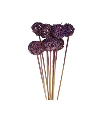 4A Bijsteker 50cm Brunchbal 5cm | Per 10 stuks