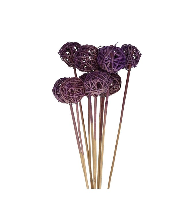 Bijsteker 50cm Brunchbal 5cm ( x 10 )