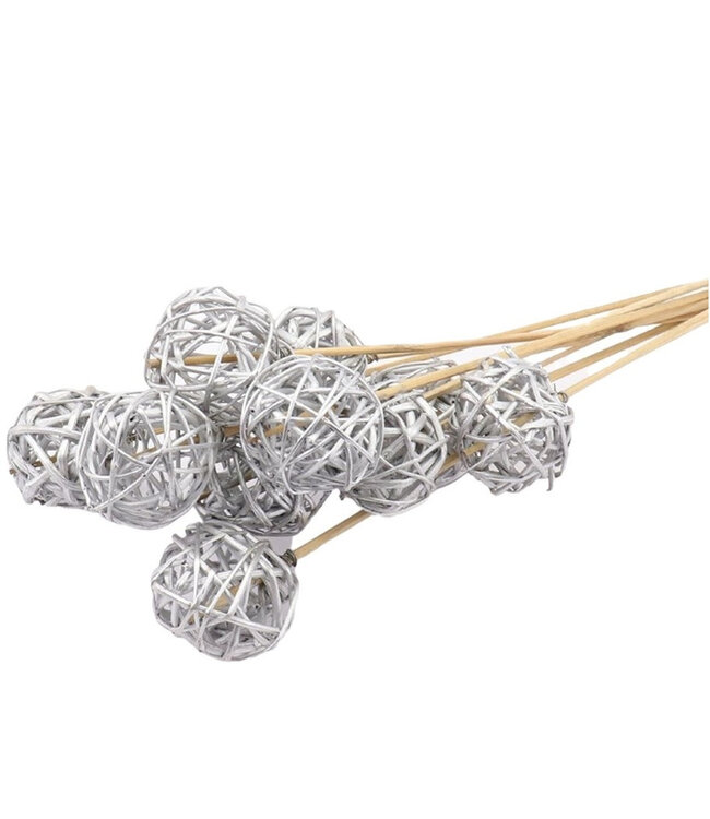 Bijsteker 50cm Brunchbal d05cm ( x 10 )