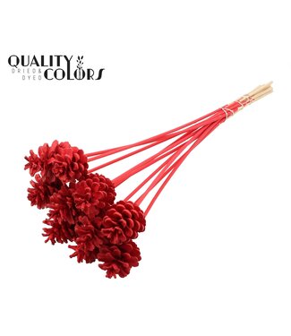 QC Pine cone 5-7cm on stem Covered Red ( x 150 )