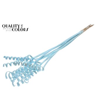 QC Cane Spring on stem Covered Light Blue | Per 50 stuks