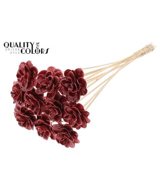 QC Beetal Rose 6cm on stem Wax Burgundy ( x 50 )