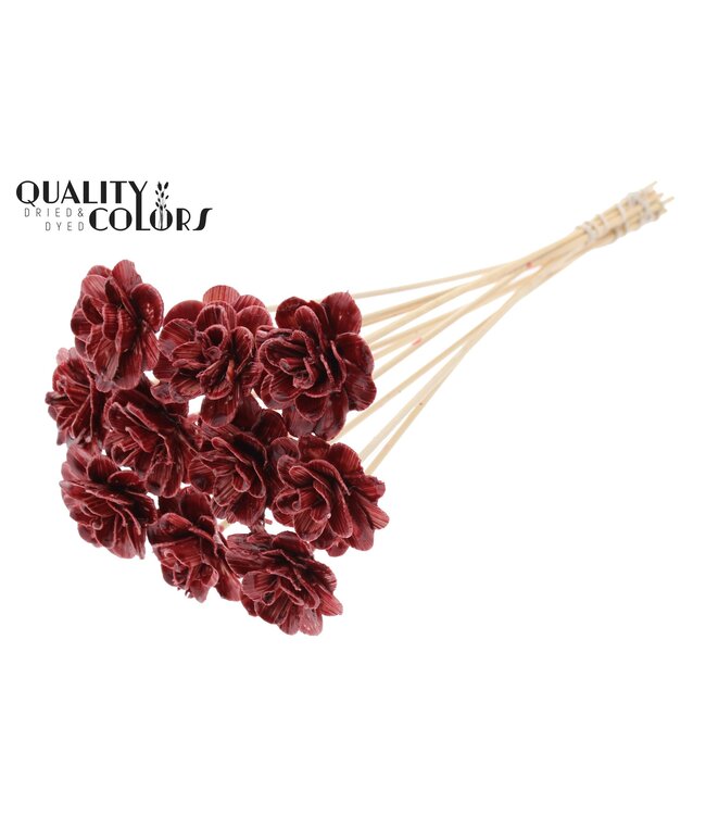 Beetal Rose 6cm on stem Wax Burgundy ( x 50 )