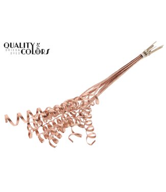 QC Cane Spring on stem Copper ( x 50 )