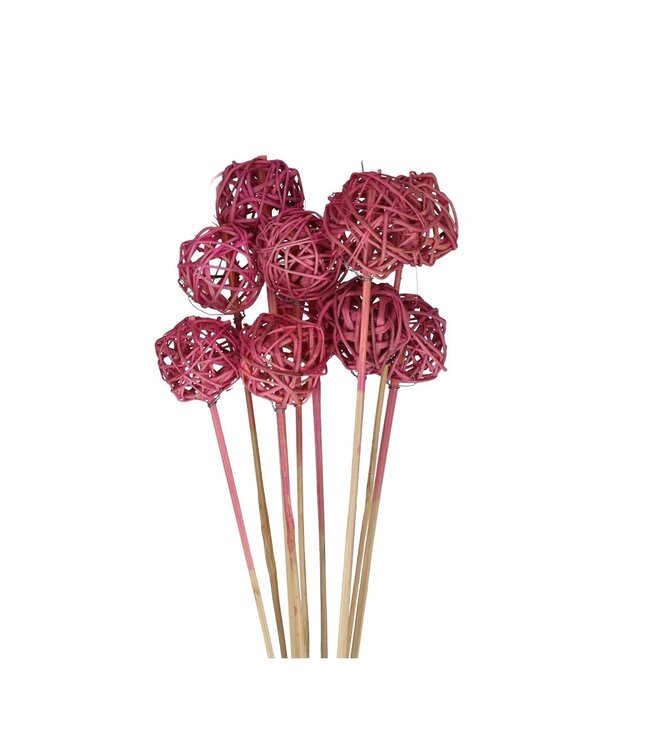 Piquet rose clair Brunchbal | Longueur 50 centimètres | Diamètre 5 centimètres | Commande par 10 pièces