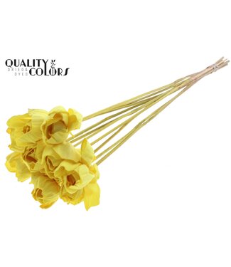 QC Shola Dear Holly 6cm on stem Yellow ( x 50 )