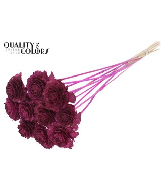 QC Cedar Rose on stem Lilac | Per 50 stuks