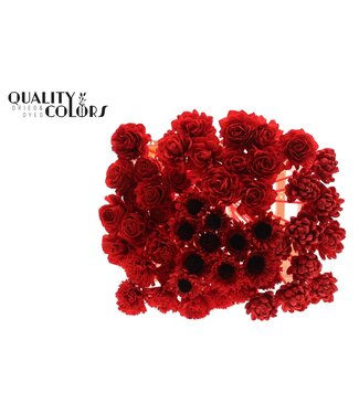 QC Shola Flower Mix on stem Red | Per 50 stuks