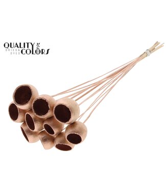 QC Bell Cup on stem Copper ( x 50 )