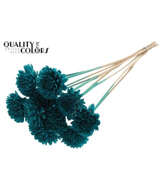 QC Shola Zinia 6cm on stem Turquoise | Per 50 stuks