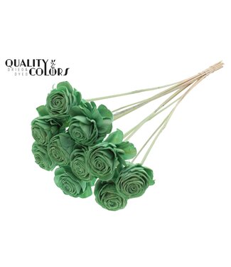 QC Shola Beauty Rose 6cm on stem Mint Green ( x 50 )