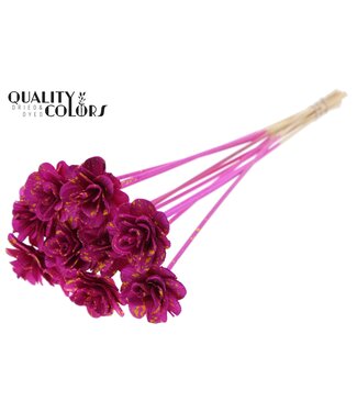 QC Beetal Rose 6cm on stem Splashed Lilac/Yellow ( x 50 )