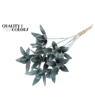 QC Wild Lilly on stem Frosted Light Blue | Per 50 stuks