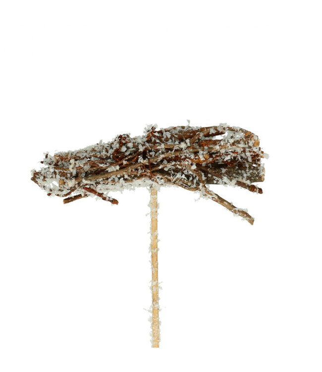 Bijsteker 50cm Brico 8cm ( x 25 )