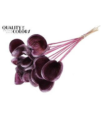 QC Badam on stem Metallic Pink | Per 50 stuks