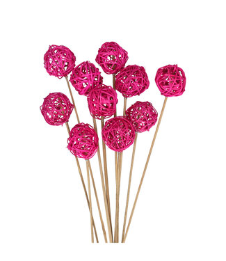 4A Bijsteker 50 centimeter Brunchbal 5 centimeter | Per 10 stuks