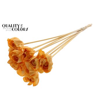 QC Shola Dear Holly 6cm on stem Apricot ( x 50 )