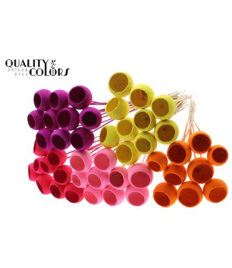 QC Bell Cup on stem Intense Mixed Colours ( x 50 )