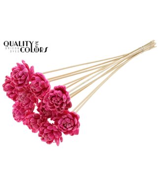 QC Shola New Beauty Rose 6cm on stem Wax Cerise | Per 50 stuks