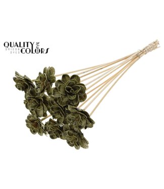 QC Beetal Rose 6cm on stem Wax Olive | Per 50 stuks