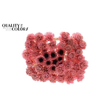 QC Shola Flower Mix on stem Light Pink | Per 50 stuks
