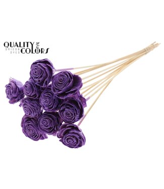 QC Shola Beauty Rose 6cm on stem Wax Milka ( x 50 )