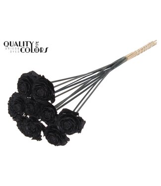 QC Cedar Rose on stem Black | Per 50 stuks