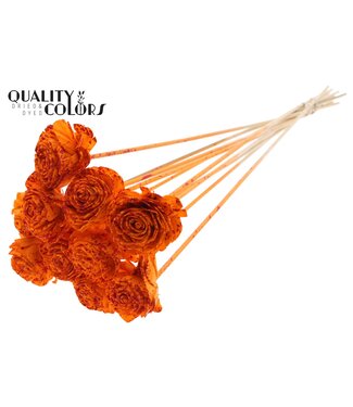 QC Shola Beauty Rose 6cm on stem Splashed Orange/Red ( x 50 )