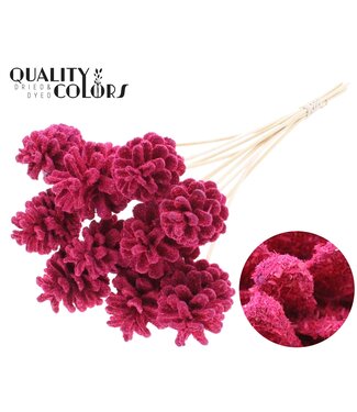 QC Pine cone 5-7cm on stem Sawdust Cerise | Per 50 stuks