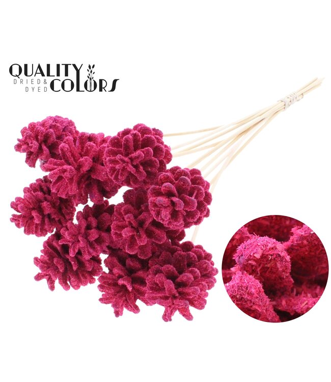 Pine cone 5-7cm on stem Sawdust Cerise ( x 50 )