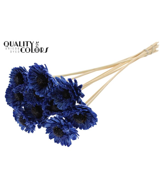 Shola Daisy Sunflower 6cm on stem Wax Blue ( x 50 )