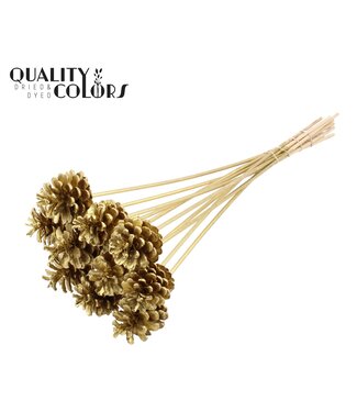 QC Pine cone 5-7cm on stem Gold | Per 50 stuks