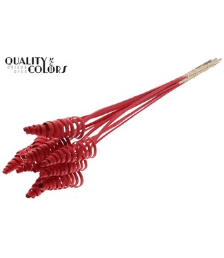 QC Cane Cone on stem Covered Red ( x 50 )