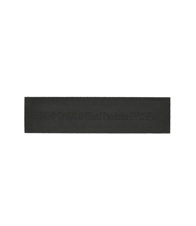 Oasis Eychenne Raquette  40cm ( x 6 )