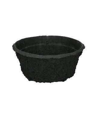 4A Oasis Biolit Schaal 19cm | Per 10 stuks