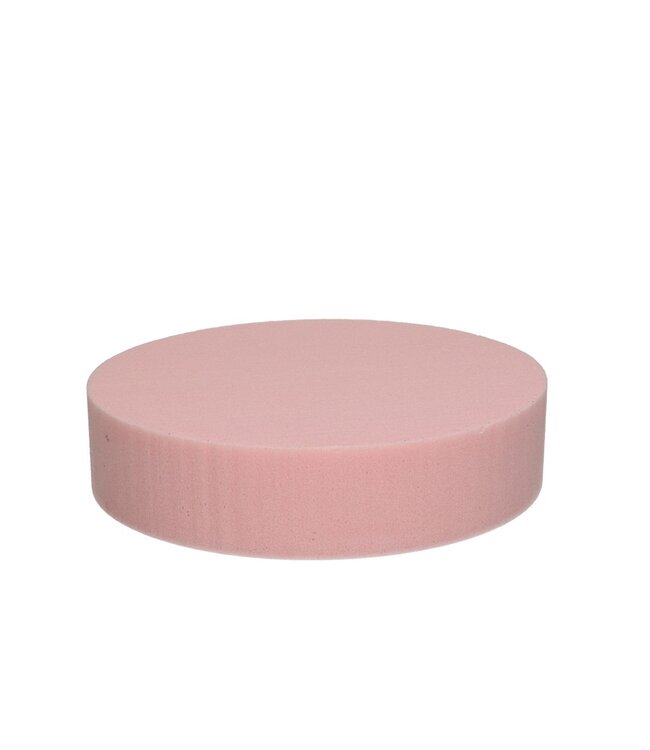 Gâteau Oasis rose clair | Diamètre 20 centimètres | Hauteur 5 centimètres | À commander par 2 pièces