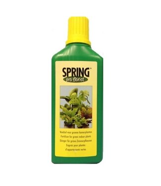 4A Pflege Spring Nahrung für Grüne Zimmerpflanzen | Inhalt 500 ml | Pro Stück