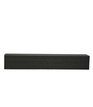 4A Oasis Eychenne Raquette  60cm ( x 6 )