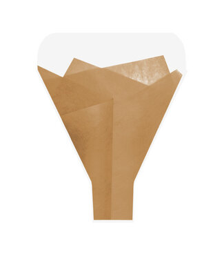 4A Hoezen Finewrap 50*44*12cm x50 ( x 1 )