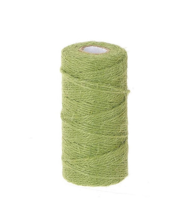 Fil de jute vert | Diamètre 2 millimètres | Longueur 100 mètres | À commander à l'unité
