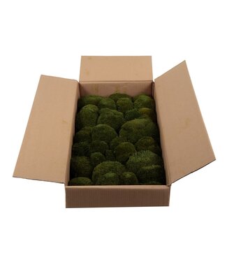AD Bolmos Gepreserveerd Bulk Ca. 0.8-1.0 M2 ( x 1 )
