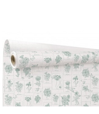 4A Papier Rol 80cm 40m Curiosity ( x 1 )